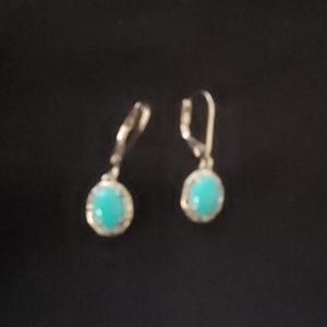 Sleeping Beauty Turquoise Earrings